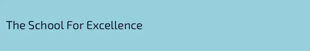 The School For Excellence